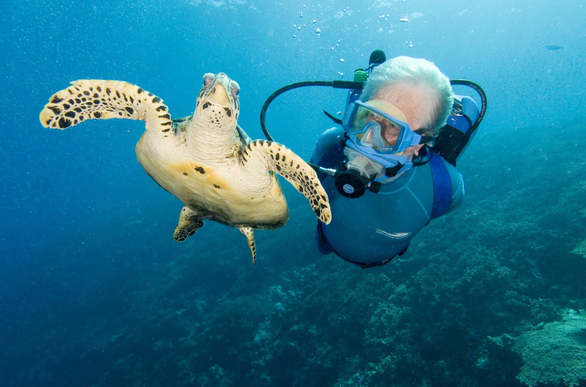 Jean-Michel Cousteau Resort Fiji Savusavu Ngoại thất bức ảnh