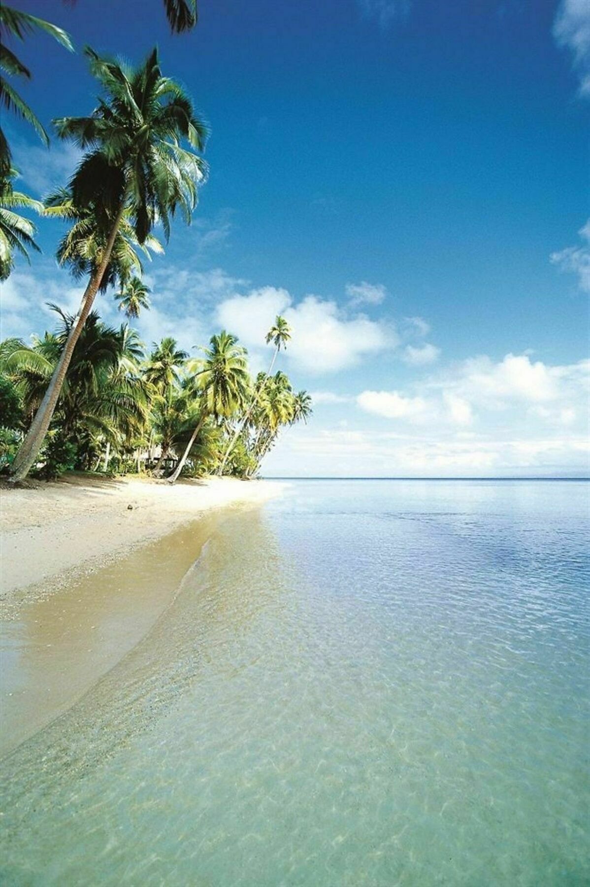 Jean-Michel Cousteau Resort Fiji Savusavu Ngoại thất bức ảnh